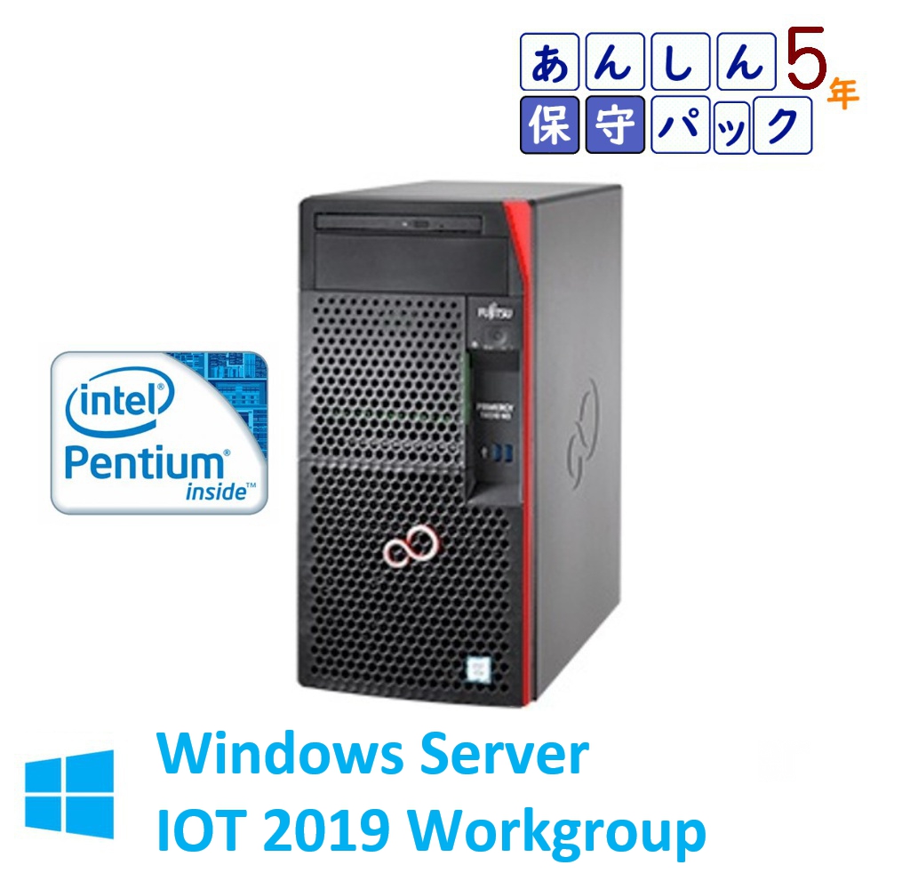 新品 Fujitsu PRIMERGY TX1310 M3 Pentium G4560 WS IOT2019WG 